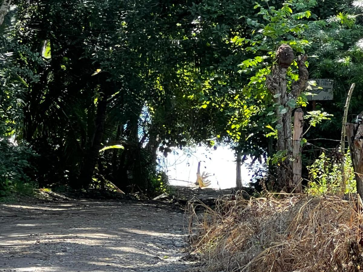 Las Plumas De Cabuya Cabuya  Exteriér fotografie